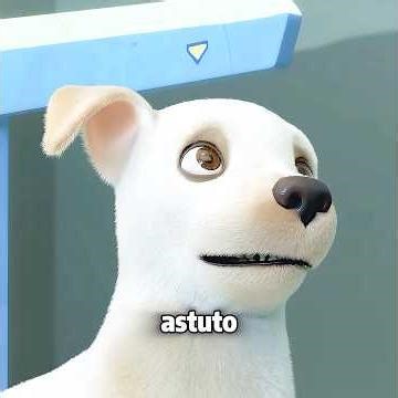 El sueño de este perro es convertirse en perro guía. #movie #peliculas #shorts