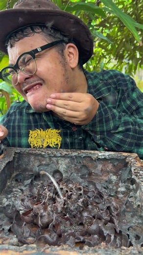 ASMR Rare Golden Stingless Bee Honey Drinking - 41 🐝 🍯 #shorts