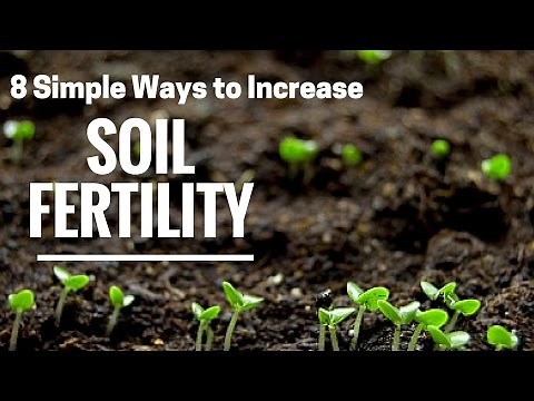 How to improve garden soil quality: Here are 8 proven techniques