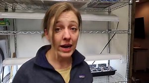 Simple DIY Seed Starting System • The Prairie Homestead