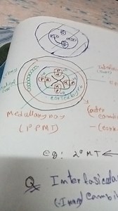 Based on the diagram, explain the structure and function of int... | Filo