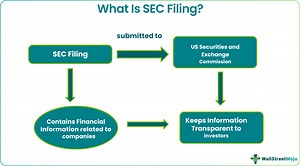 SEC Filings - What Are These, Types, Importance