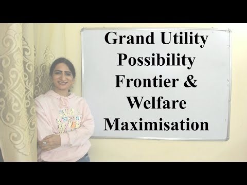 Grand Utility Possibility Frontier & Welfare Maximization