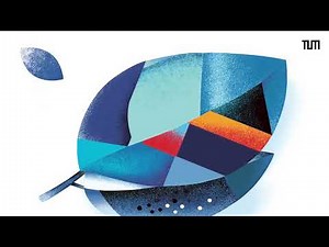 Photocatalysis: inspired by nature