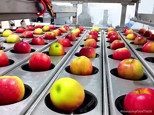 7.1K views · 107 reactions | Modern Food Processing Technology with Cool Automatic Machines | Amazing Food Taste | Facebook
