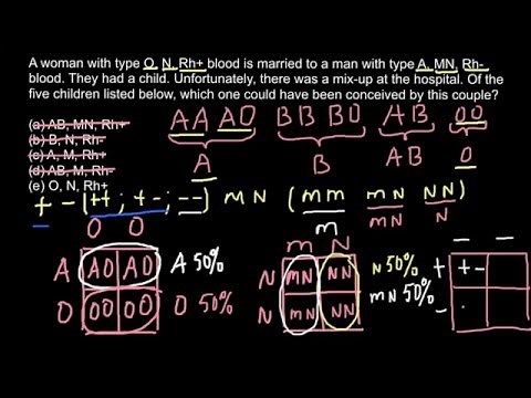 ABO, MN, RH+/- blood groups explained