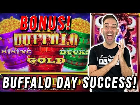 Buffalo Day SUCCESS! 🦬 Triple Power MEGA Bonus