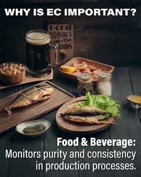 What is EC Testing? | Electrical Conductivity Explained