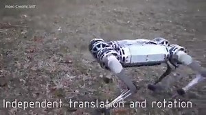 40 reactions · 14 shares | MIT’S new mini cheetah robot is the first...