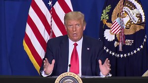 When a reporter at a Wisconsin community roundtable asks two black pastors, James Ward and Sharon Ward, about systemic racism, it's Pres. Trump who answers... ...and then ignores the reporter when he clarifies that the question was for the pastors. | TYT Investigates