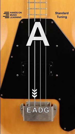 EASY Online Bass Tuner