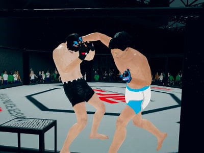 MFS: MMA Fighter 🕹️ Online Game | Gameflare.com