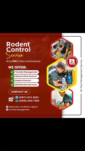 Need Rodent Control Service? Kami na ang bahala! We offer: ✅ Termite Management ✅ General Pest Control ✅ Rodent Control ✅ Disinfection Services For more information, contact us on: TNT: (0970) 536 4939 Globe: (0917) 674 2001 📱 Smart: (0919) 000 7383 📱 We also offer our products. Just visit our website: www.bestinternational.com.ph #foryou #services #rodent #rodentcontrol #pest #pestmanagement #pestcontrol #services #foryourpage #fyppppppppppppppppppppppp