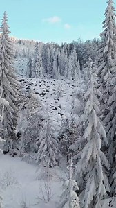 Want to fly drones commercially? Passing the FAA sUAS Knowledge Test is your gateway to understanding airspace, weather, and safety. Start your journey today with our prep courses! ⛅️ https://mzeroa.com/frontend/#/unmanned | Remote Pilot 101 | Facebook