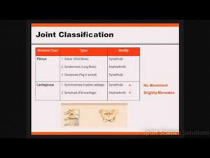Joint Classification