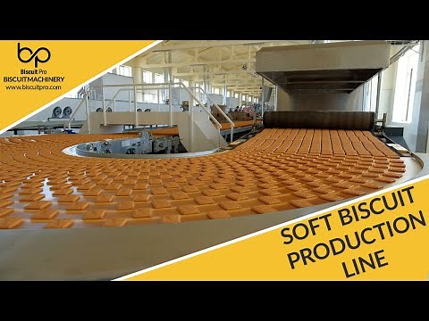 Biscuit Pro - Soft Biscuit Production Line