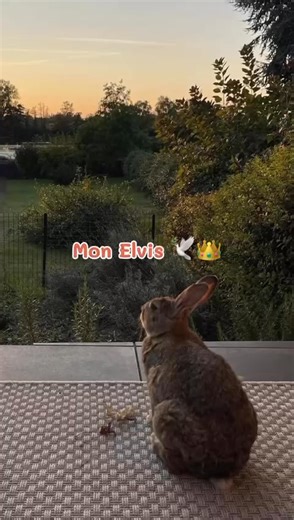 51K views · 2.7K reactions | Depuis hier, je cherche les mots pour...