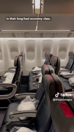 American Airlines Economy Flight Review: Pros and Cons