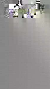 Hello again from the education corner 👋 Today we are seeing (and hearing) our resident Red-tail Hawk, Hardeman. Hardeman has been extra vocal lately, in part due to the cooling temperatures outside, and behavior changes that can occur in our resident birds during migration season! Did you know that red-tailed hawks have more than one sound or call that they make? While many are aware that the red-tailed hawk call has been used for years in movies, dubbing over footage of bald eagles, a lot of p