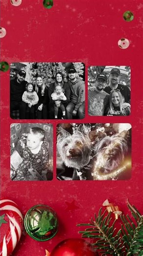 Merry Christmas! 🎄