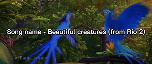 Beautiful Creatures Song from Rio 2 - Let's Celebrate All