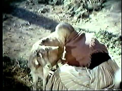 1975 ABC Fall Preview Part 2