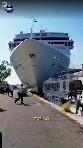 Why Giant Ships Can’t Just STOP at the Dock 😱 | The Truth About Ship Braking