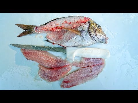 How to Fillet Porgy (Scup)- Dexter Outdoors