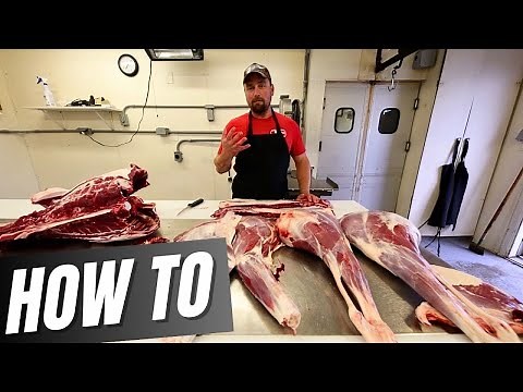 Full Deer Processing Tutorial and Cut Up (HOW TO)