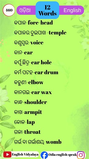 word meaning English to Odia || verb words || daily use english word's || english vidyalaya