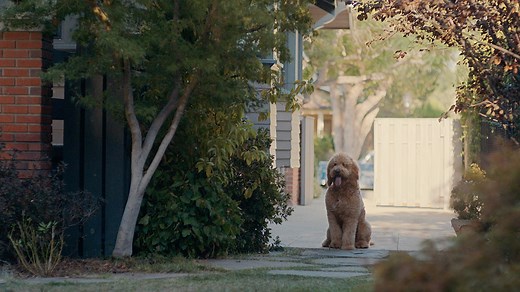 Meet Six-Thirty. Lessons in Chemistry premieres October 13. | Apple TV