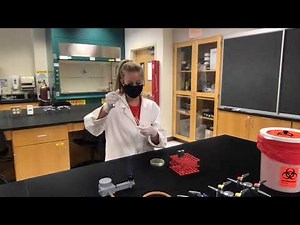 How to inoculate a broth culture with a bacterial colony.