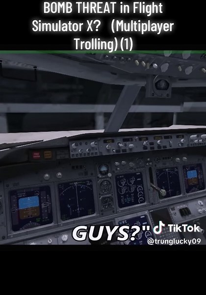 Multiplayer Trolling in Flight Simulator X Explained