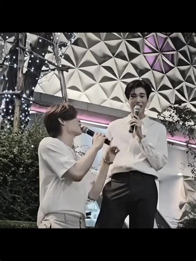 Unforgettable Christmas Memories with Bears and Pandas