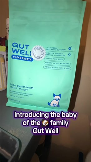 @Native Pet #nativepet #dogsoftiktok #gutwell