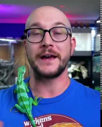 The Top 5 MOST Expensive Reptiles OF ALL TIME! | Wickens Wicked Reptiles