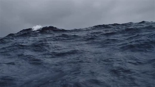 21 DAYS UNTIL THE FILM’S GLOBAL RELEASE! Our official trailer is finally out. Head over to YouTube for the full experience (link in bio). As independent filmmakers without agents or a distribution company behind us, we rely on your support. Please share and help us spread the word. We are dreaming of showing what is possible when storytellers stay true to their own voice, creating impact, keeping ownership of our narrative, and being part of a new model for female filmmaking. | Women & The Wind