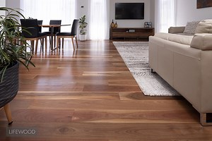Spotted Gum the Australian Timber Floor of Choice in 2020