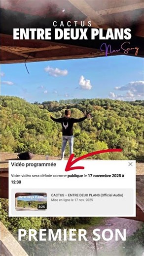 Mon premier et nouveau son à 12h30 !! #cactus #humour #edit #viralvideo #musique #entredeuxplans
