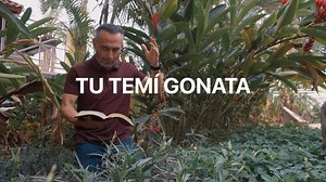 6.1K views · 765 reactions | Únete a la vigilia de Resurrección hoy por @hosannavision | Pastor Edwin Alvarez | Facebook