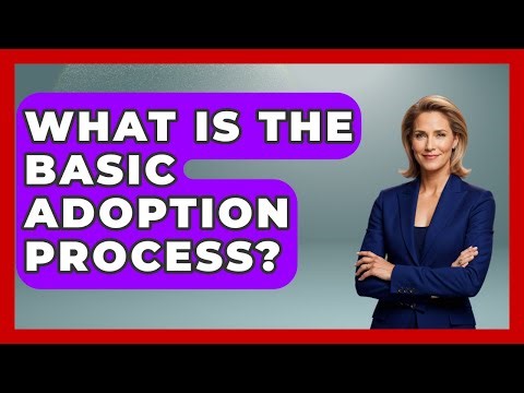 What Is The Basic Adoption Process? - US Citizenship Immigration Guide