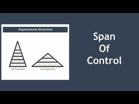 Span of Control Explained