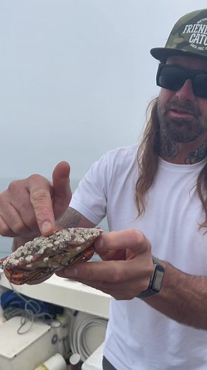Friendliest Catch Barnacle Removal #barnacleremoval #crab #natgeo