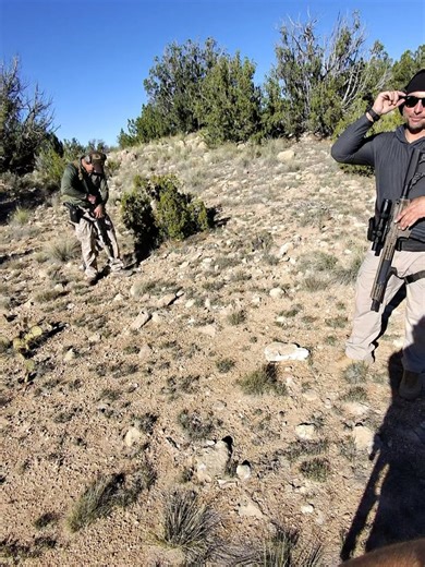 BRVO Tactical on Reels