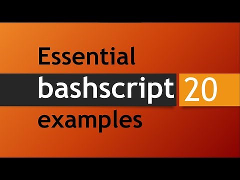 20 essential Bash script examples