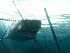 82K views · 2K reactions | Top Movies on Netflix 2025 – Watch and Feel Movies 2025 #Netflix #viral #movie #bodyweightworkout #millionairelifestyle #streetstyle | ฉันรักมวย | Facebook