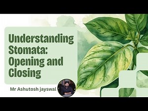 Opening and Closing of Stomata – Theory Explained by Mr. Ashutosh Jayswal