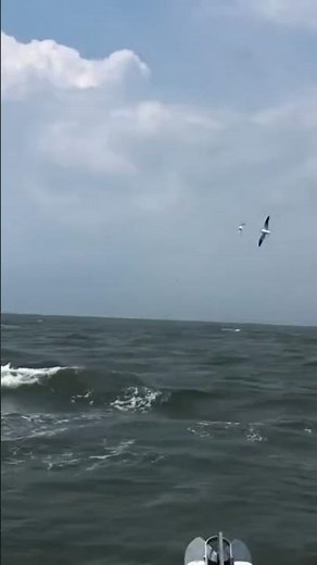 Worldcat 2740 Glacier Bay Edition handling a following sea - teaching my son how to handle it