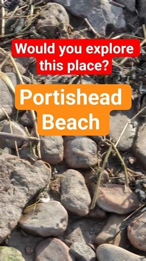#Portishead Beach Has NO Sand ⛱️ Grass, Rocks & #fossils #2026