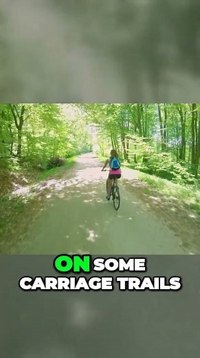 Unleash the Adventure: The Giant Roam Hybrid Bike for Endless Exploration